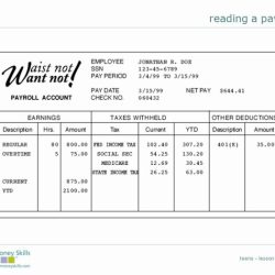 Fine print pay stub answer key