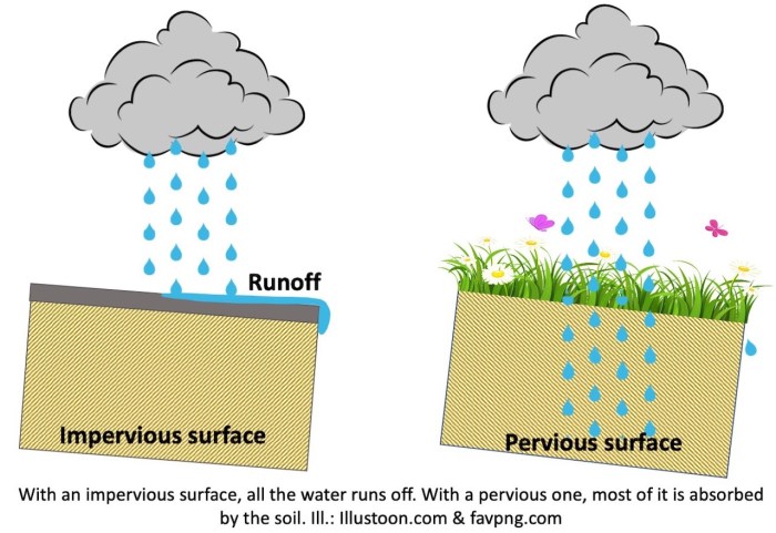 Soils