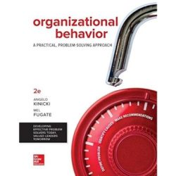 Organizational behavior a practical problem-solving approach 3rd edition