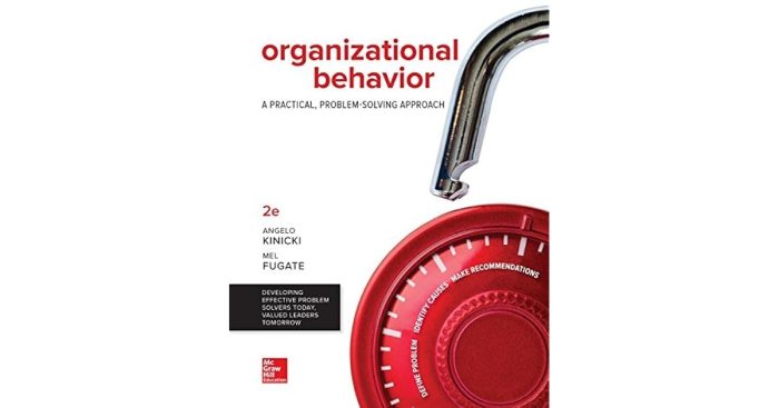 Organizational behavior a practical problem-solving approach 3rd edition