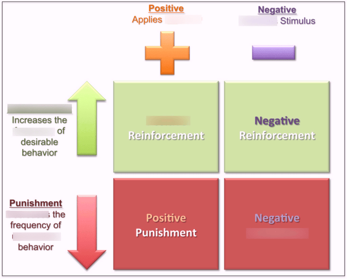 Learning positive and negative reinforcement worksheet answers