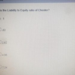 Liabilities equity stockholders ratio alvarado dec